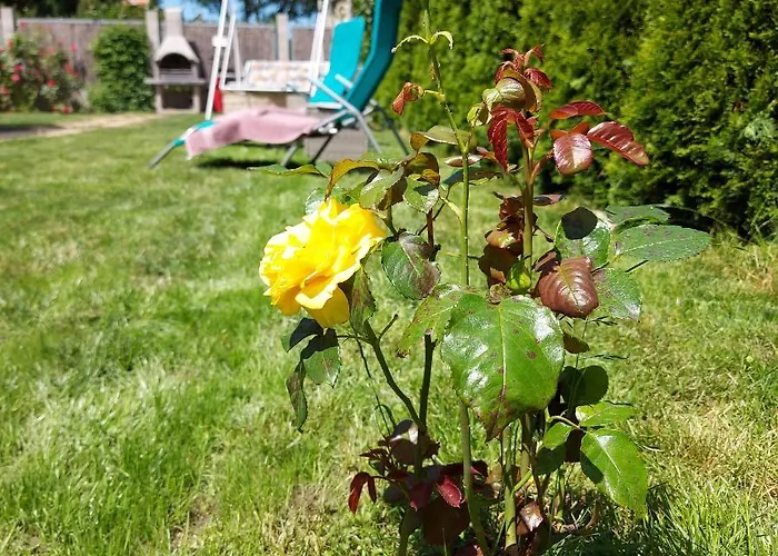 Jokai Vendeghaz Egerszalók